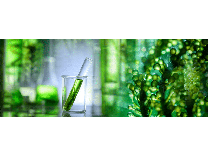 Higher Ed Lab Closer to Sustainability with 30% Estimated Energy Savings